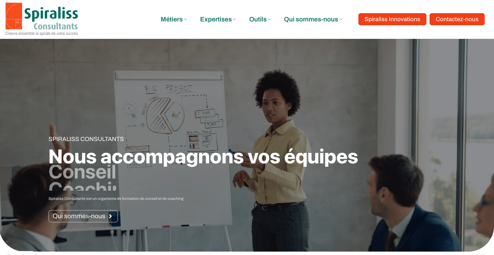 Spiraliss Consultants